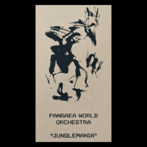 Junglemania - Jazz/World Beat